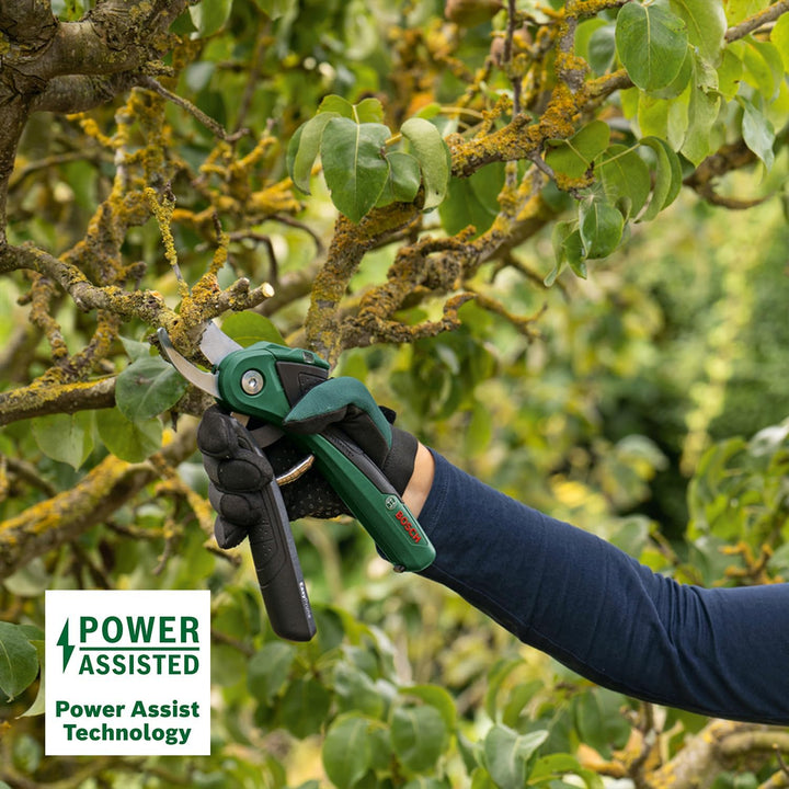 Bosch Professional EasyPrune