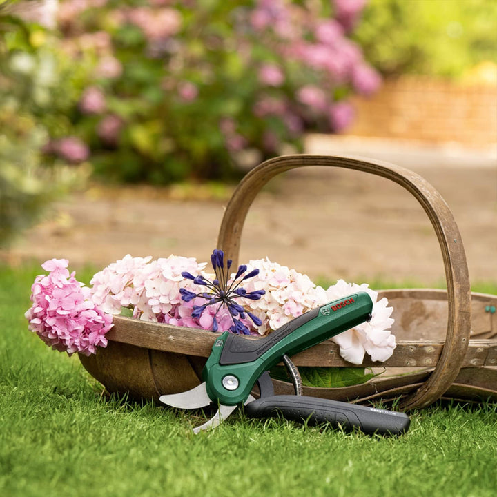Bosch Professional EasyPrune