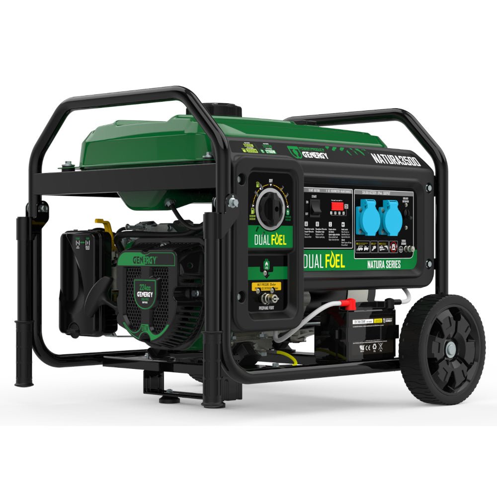 Genergy Natura 3500 3300 W – Groupe électrogène bi - carburant (démarrage électrique) - MK SELLER EU