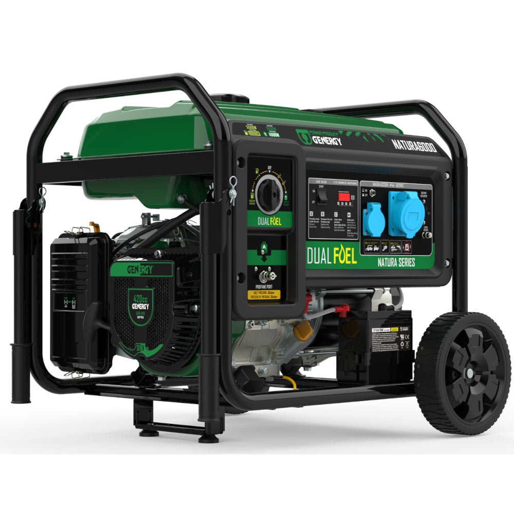 Genergy Natura 6000 5500 W – Groupe électrogène bi - carburant (démarrage électrique) - MK SELLER EU
